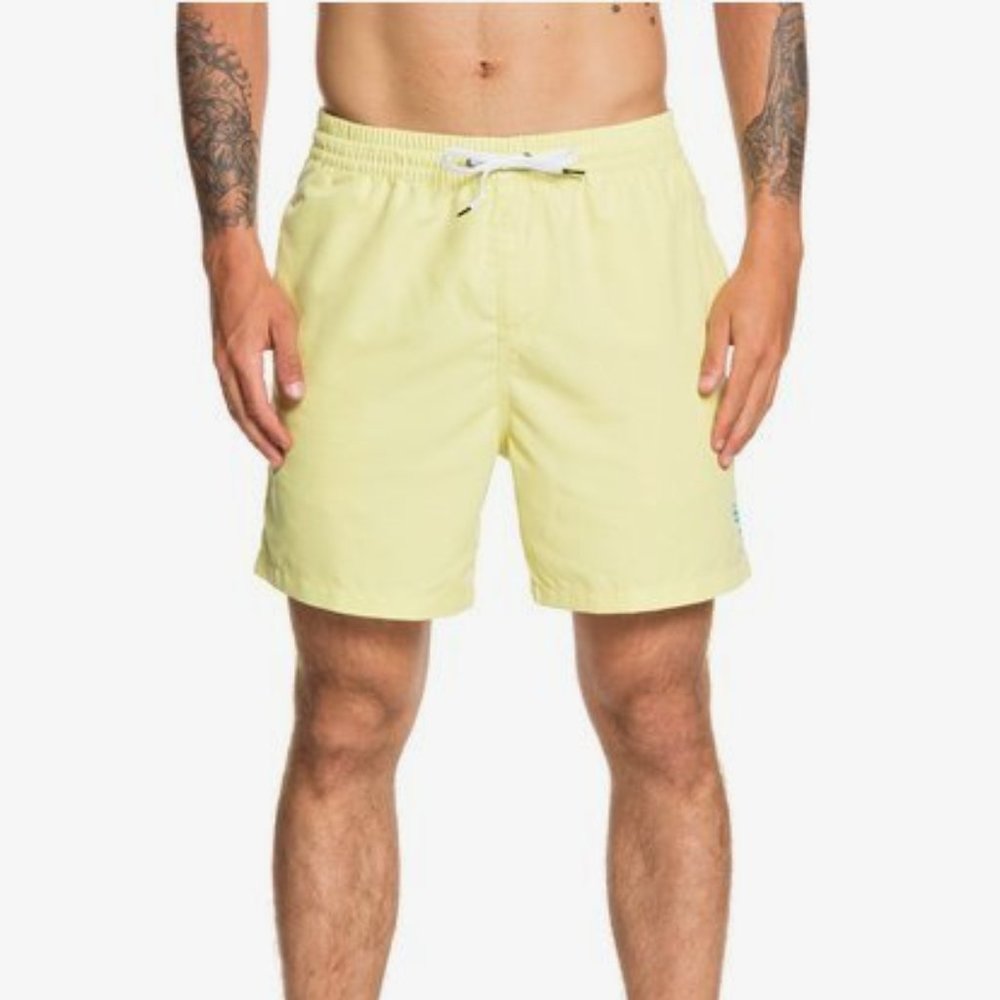 QUIKSILVER  Everyday 17" Volleys